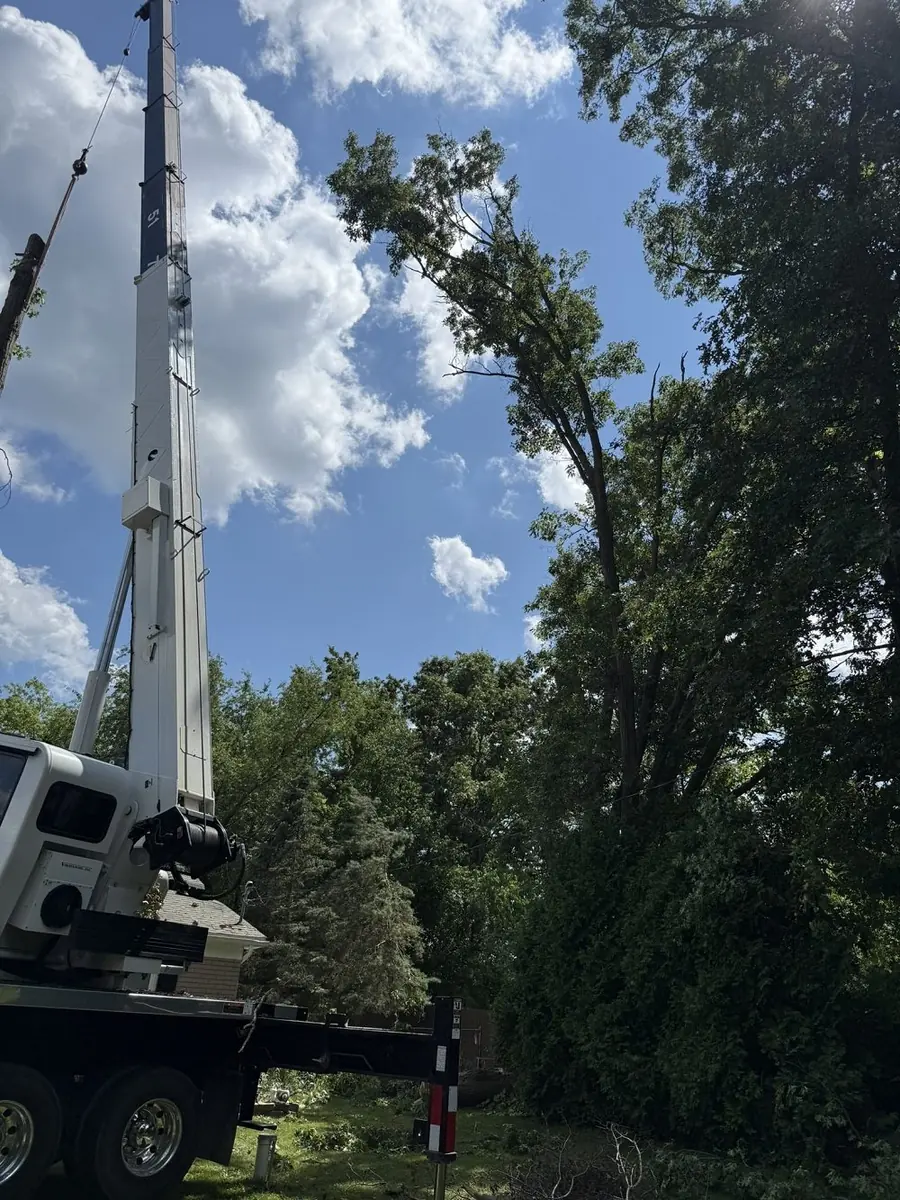 Crane-assisted tree removal in Oakland County, Michigan