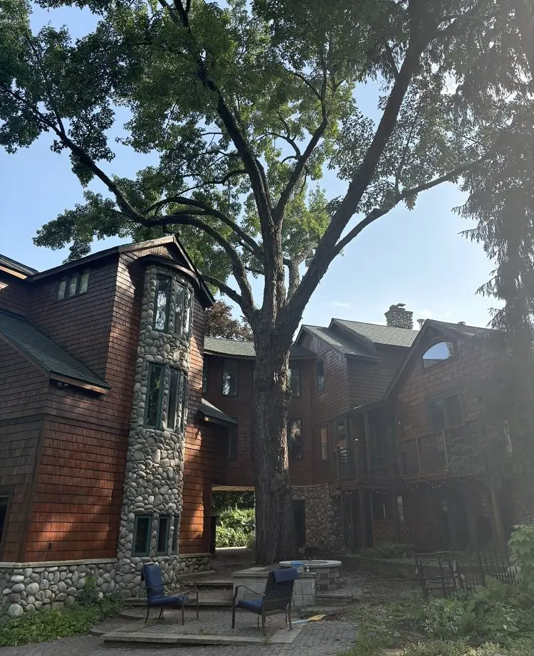 Mature oak over a stone-and-brick estate home in Bloomfield Hills