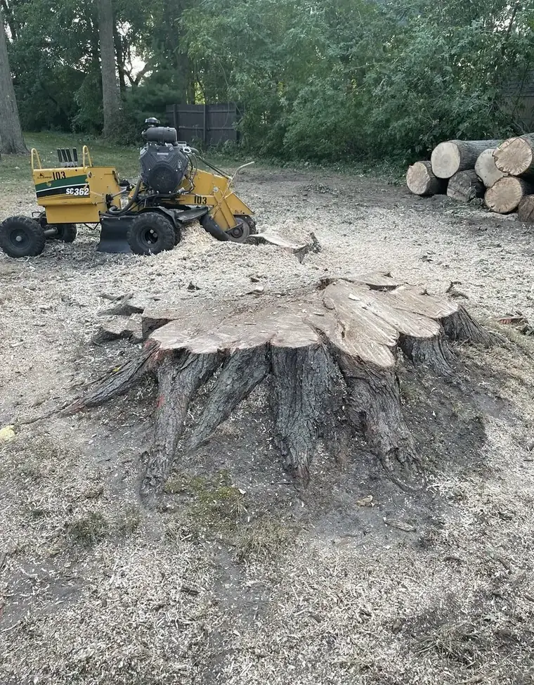 Vermeer SC362 stump grinder beside a freshly ground hardwood stump with stacked log rounds in a Michigan backyard
