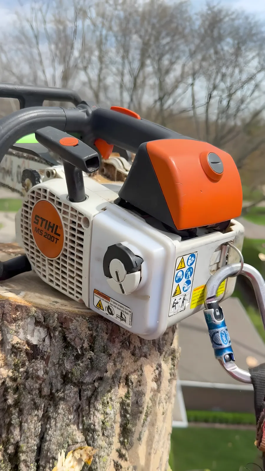 Top-handle chainsaw resting on a cut trunk high above a suburban roofline